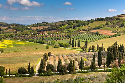 Tours of Tuscany Italy